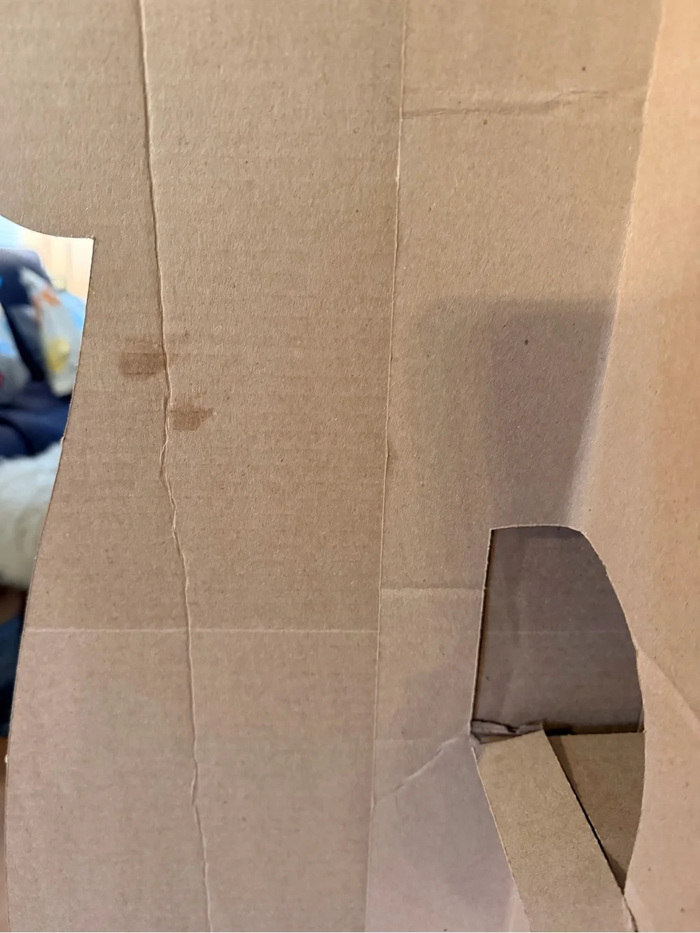 Taylor Swift life-size cardboard cutout